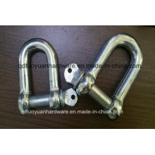 China fabricante JIS tipo galvanizado D Shackle ferragem Marinha